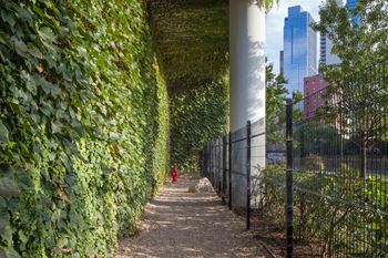 Outdoor dog run